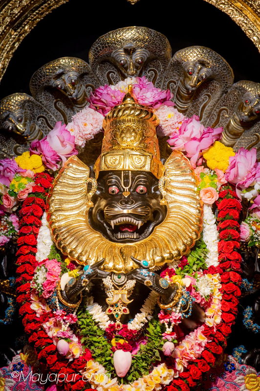 Śrī Śrī Prahlāda-Nṛsiṁhadeva Puja Seva